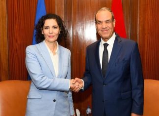 مباحثات مصرية أوروبية بشأن تطورات الأوضاع في غزة ولبنان والسودان مباحثات مصرية أوروبية بشأن تطورات الأوضاع في غزة ولبنان والسودان