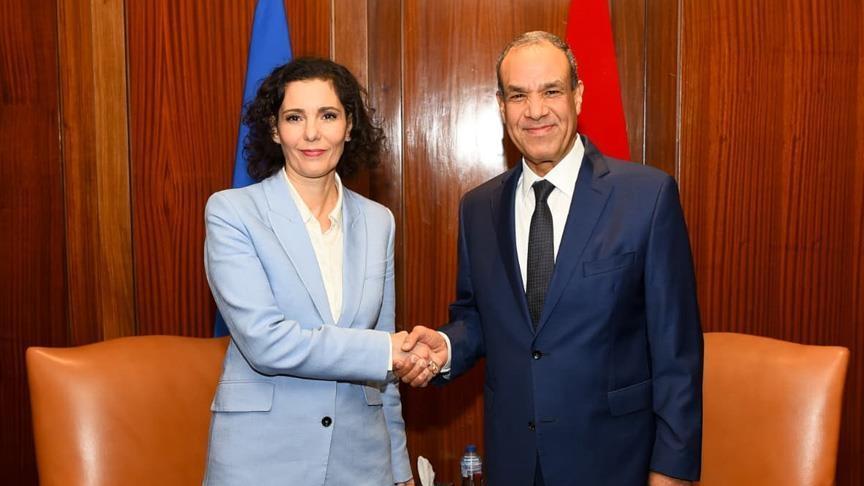 مباحثات مصرية أوروبية بشأن تطورات الأوضاع في غزة ولبنان والسودان مباحثات مصرية أوروبية بشأن تطورات الأوضاع في غزة ولبنان والسودان