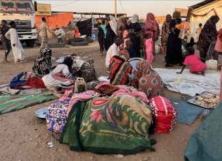 نزوح 1625 شخصًا بجنوب كردفان السودانية نزوح 1625 شخصًا بجنوب كردفان السودانية