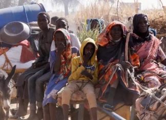 شهادات مأساوية لمواطنين محاصرين في الفاشر شهادات مأساوية لمواطنين محاصرين في الفاشر