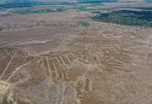في الأمازون.. الليزر يكشف عن عالم مفقود عاد للظهور في الأمازون.. الليزر يكشف عن عالم مفقود عاد للظهور