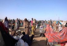 الدعم السريع تحتجز ناجين من حصار الفاشر وتبتزهم الدعم السريع تحتجز ناجين من حصار الفاشر وتبتزهم