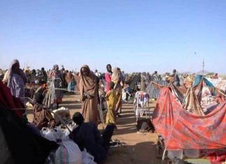 الدعم السريع تحتجز ناجين من حصار الفاشر وتبتزهم الدعم السريع تحتجز ناجين من حصار الفاشر وتبتزهم