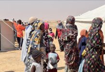 أطباء السودان: “الدعم السريع” يحتجز 100 أسرة في بابنوسة أطباء السودان: "الدعم السريع" يحتجز 100 أسرة في بابنوسة