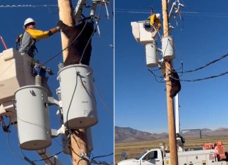 شاهد: دب يتسلّق عمود كهرباء.. وعامل ينقذه قبل لحظات من الصعق شاهد: دب يتسلّق عمود كهرباء.. وعامل ينقذه قبل لحظات من الصعق