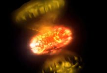 علماء يلتقطون صورا مقرّبة تكشف كيف تنفجر النجوم لحظة بلحظة علماء يلتقطون صورا مقرّبة تكشف كيف تنفجر النجوم لحظة بلحظة