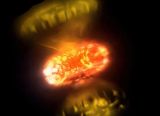 علماء يلتقطون صورا مقرّبة تكشف كيف تنفجر النجوم لحظة بلحظة علماء يلتقطون صورا مقرّبة تكشف كيف تنفجر النجوم لحظة بلحظة