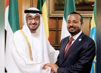 تحركات إماراتية لفتح جبهات قتال جديدة بالسودان تحركات إماراتية لفتح جبهات قتال جديدة بالسودان
