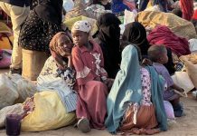 185 نازحًا جديدًا من كادوقلي بجنوب كردفان 185 نازحًا جديدًا من كادوقلي بجنوب كردفان