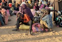 “الهجرة الدولية”: 985 نازحا من 3 قرى بجنوب كردفان في يومين "الهجرة الدولية": 985 نازحا من 3 قرى بجنوب كردفان في يومين