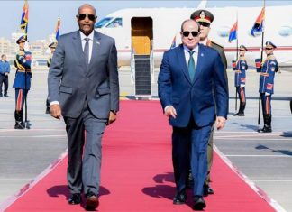 البرهان في القاهرة لبحث تطورات السودان والعلاقات البرهان في القاهرة لبحث تطورات السودان والعلاقات