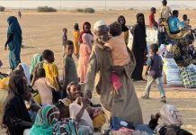 الهجرة الدولية: عدد النازحين بكردفان تجاوز 50 ألف سوداني الهجرة الدولية: عدد النازحين بكردفان تجاوز 50 ألف سوداني