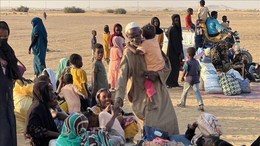 الهجرة الدولية: عدد النازحين بكردفان تجاوز 50 ألف سوداني الهجرة الدولية: عدد النازحين بكردفان تجاوز 50 ألف سوداني