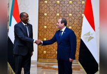 توجيهات البرهان والسيسي حول الدفاع المشترك والإخوان توجيهات البرهان والسيسي حول الدفاع المشترك والإخوان