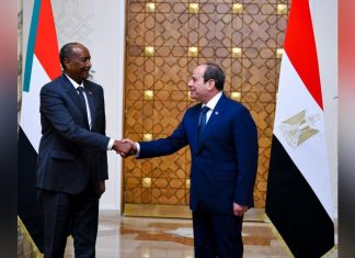 توجيهات البرهان والسيسي حول الدفاع المشترك والإخوان توجيهات البرهان والسيسي حول الدفاع المشترك والإخوان