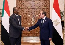 السيسي والبرهان يدعوان لتفعيل اتفاقية الدفاع المشترك السيسي والبرهان يدعوان لتفعيل اتفاقية الدفاع المشترك