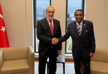 تركيا والسودان تبحثان العلاقات الثنائية والقضايا الإقليمية تركيا والسودان تبحثان العلاقات الثنائية والقضايا الإقليمية