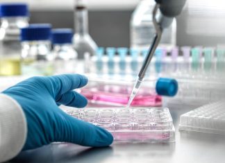 ذرة واحدة تحول نفايات البلاستيك إلى كيميائيات ثمينة ذرة واحدة تحول نفايات البلاستيك إلى كيميائيات ثمينة