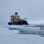 علماء يكتشفون “حياة غامضة” تحت جليد القطب الشمالي علماء يكتشفون "حياة غامضة" تحت جليد القطب الشمالي