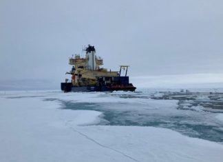 علماء يكتشفون “حياة غامضة” تحت جليد القطب الشمالي علماء يكتشفون "حياة غامضة" تحت جليد القطب الشمالي