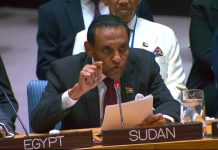 مبادرة إدريس للسلام في السودان أمام مجلس الأمن مبادرة إدريس للسلام في السودان أمام مجلس الأمن