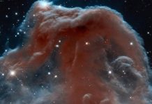 تاريخ نجوم “الصياد” من مصر القديمة للجزيرة العربية تاريخ نجوم "الصياد" من مصر القديمة للجزيرة العربية