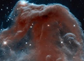 تاريخ نجوم “الصياد” من مصر القديمة للجزيرة العربية تاريخ نجوم "الصياد" من مصر القديمة للجزيرة العربية