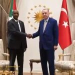 أردوغان يؤكد للبرهان تعزيز التعاون الدفاعي والتعدين أردوغان يؤكد للبرهان تعزيز التعاون الدفاعي والتعدين