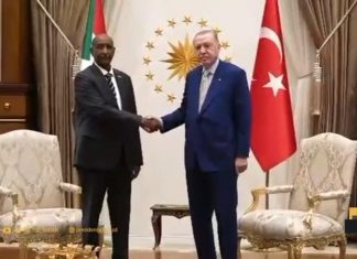 أردوغان يؤكد للبرهان تعزيز التعاون الدفاعي والتعدين أردوغان يؤكد للبرهان تعزيز التعاون الدفاعي والتعدين