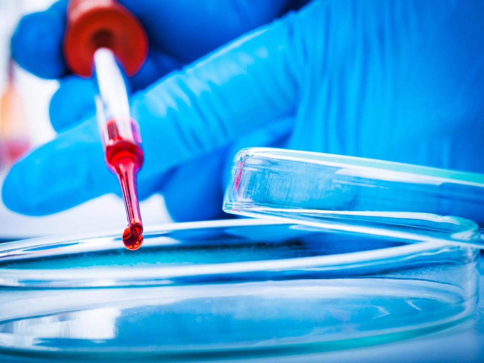 عام يرحل وآمال تتجدد.. إلام يطمح الباحثون العرب في 2026؟ عام يرحل وآمال تتجدد.. إلام يطمح الباحثون العرب في 2026؟