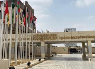 21 دولة عربية وإسلامية: اعتراف إسرائيل بالصومال خطر 21 دولة عربية وإسلامية: اعتراف إسرائيل بالصومال خطر