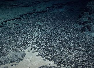 ابتكار ثوري لاستخراج المعادن من أعماق البحار ابتكار ثوري لاستخراج المعادن من أعماق البحار