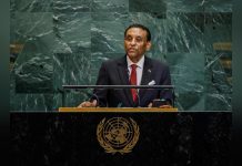 فرص نجاح المبادرة السودانية أمام مجلس الأمن فرص نجاح المبادرة السودانية أمام مجلس الأمن