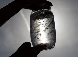 الميكروبلاستيك يسرّب سحابة كيميائية في الماء الميكروبلاستيك يسرّب سحابة كيميائية في الماء