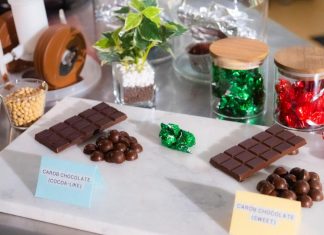 العلماء بدؤوا تجهيز “بدائل الشوكولاتة” تحسبًا لانقراضها العلماء بدؤوا تجهيز "بدائل الشوكولاتة" تحسبًا لانقراضها