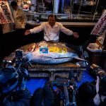 “ملك التونة” يحطم رقمه القياسي بـ3.27 مليون دولار "ملك التونة" يحطم رقمه القياسي بـ3.27 مليون دولار