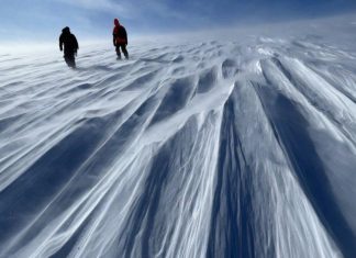 غرينلاند كانت خضراء قبل سبعة آلاف سنة.. فهل تعود؟ غرينلاند كانت خضراء قبل سبعة آلاف سنة.. فهل تعود؟