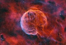 صورة نادرة لسديم يشبه الدماغ في درب التبانة صورة نادرة لسديم يشبه الدماغ في درب التبانة