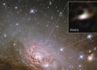 جيمس ويب يكشف سر الضوء الغامض حول الثقوب السوداء جيمس ويب يكشف سر الضوء الغامض حول الثقوب السوداء