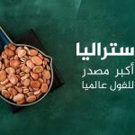 أكبر 10 دول منتجة ومصدرة للفول بالعالم.. بينها دولة عربية أكبر 10 دول منتجة ومصدرة للفول بالعالم.. بينها دولة عربية