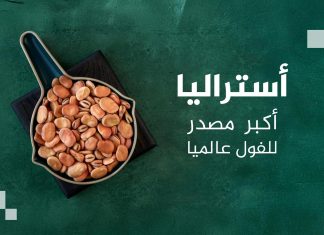 أكبر 10 دول منتجة ومصدرة للفول بالعالم.. بينها دولة عربية أكبر 10 دول منتجة ومصدرة للفول بالعالم.. بينها دولة عربية