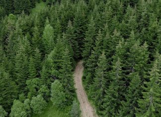 علماء ينقلون إلى البشرية درسا عمره 56 مليون سنة علماء ينقلون إلى البشرية درسا عمره 56 مليون سنة