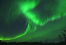 الشفق القطبي: ضوء يرقص في سماء ألاسكا الشفق القطبي: ضوء يرقص في سماء ألاسكا