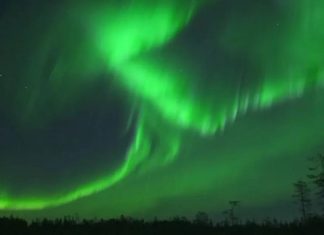 الشفق القطبي: ضوء يرقص في سماء ألاسكا الشفق القطبي: ضوء يرقص في سماء ألاسكا