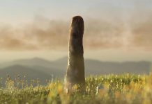 اكتشاف “بروتوتاكسايتس” فرع حياة اختفى منذ 400 مليون سنة اكتشاف "بروتوتاكسايتس" فرع حياة اختفى منذ 400 مليون سنة