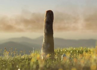 اكتشاف “بروتوتاكسايتس” فرع حياة اختفى منذ 400 مليون سنة اكتشاف "بروتوتاكسايتس" فرع حياة اختفى منذ 400 مليون سنة