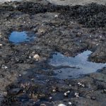 ابتكار ذكاء اصطناعي لكشف آثار أقدام الديناصورات ابتكار ذكاء اصطناعي لكشف آثار أقدام الديناصورات