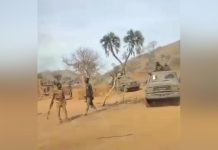 الجيش السوداني يصد هجمات على هبيلا ويحقق انتصارات الجيش السوداني يصد هجمات على هبيلا ويحقق انتصارات