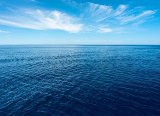 تجربة تونسية تؤكد تملح الطبقات الجوفية جنوب المتوسط تجربة تونسية تؤكد تملح الطبقات الجوفية جنوب المتوسط