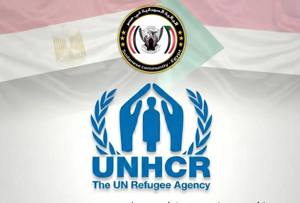 مفوضية اللاجئين بمصر: بطاقة اللجوء لم تعد تحمي السودانيين مفوضية اللاجئين بمصر: بطاقة اللجوء لم تعد تحمي السودانيين